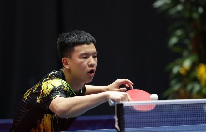 共同决定的 共同决定的